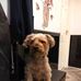 Jack Naylor - Facebook