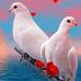 Jack Nice - Facebook