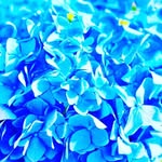 @jackneel7951 - Instagram