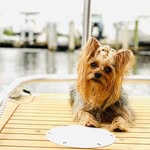 Jackson Neiman - @jackson_neiman - Instagram