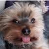 Jackie Nelder - @jackie.nelder - TikTok