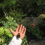Jack - @jack.nelll - Instagram