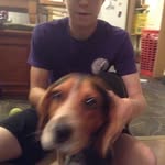 Jack Nester - @jackypoo1 - Instagram
