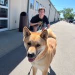 Jack Neumann - @_jack_neumann - Instagram