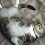 Jack Neuman - @jackneuman4 - Instagram