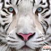jacknewbury505 - @jacknewbury505 - TikTok