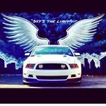 Jack Newby - @jack_newby_w_shelby - Instagram