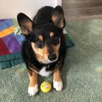 Jack Newby - @dan.newby.739 - Instagram