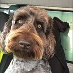 Jack Newcombe - @jackjnnewcombe - Instagram