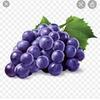 jacknewlin23 - @jacknewlin23 - TikTok