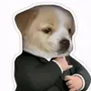 Jack. Nick👊🤣 - @jack..nick - TikTok
