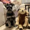 Nick and Jack - @nick_jack1122 - TikTok
