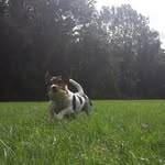 nickey - @jacknickey - Instagram
