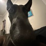 Jack - @jack_nicks_ - Instagram