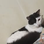 Jack Nickson Sparrow - @jacknickrow - Instagram