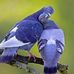 Jack Nida - Facebook