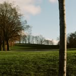 Jack Nielson - @revolutionjpeg - Instagram