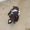 jacknielson841 - @jacknielson841 - TikTok