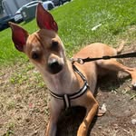 Jack Nieves - @jack_bambi22 - Instagram