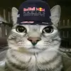 Jack Nieves - @its.jac15 - TikTok