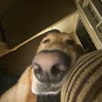 Jack Niles - @jackniies - Instagram