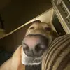 Jack Niles - @jack.niles3 - TikTok