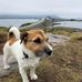 Happy Jack Nilsen - Facebook
