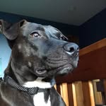 Jack Nilson - @jacknilson12 - Instagram