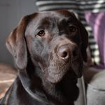 Jack Fuller - @jack_th3_nipper - Instagram