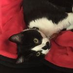 Jack the Nipper - @jack_the_nipper1 - Instagram