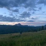Jackson Nipper - @jackson_nipper - Instagram