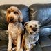 Jackie Nevison - Facebook