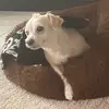 ShareBearMaceofBase - @jacknnix007 - TikTok