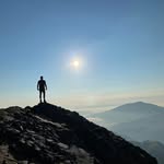 Jack Nobbs - @jacknobbs_jtntrees - Instagram