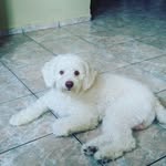 Jack Fontenele Nobrega - @jackfontenelenobrega - Instagram