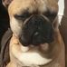 Jack Noff - Facebook