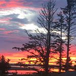 Jack Nokes - @1316maine - Instagram