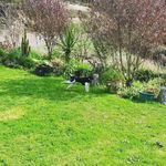 jeff420 - @jacknoone63 - Instagram