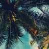 Jack Northcott688 - @jacknorthcott688 - TikTok