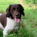 Jackie Northcott - Facebook
