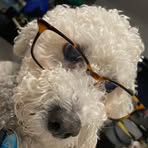 Jack Novak - Facebook