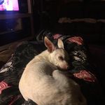 Jack Nowling Jr - @jack.j.nowling - Instagram