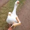jacknudelmna - @jacknudelmna - TikTok