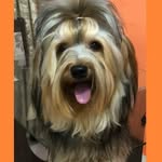 Jack Nunes - @jacknunes43 - Instagram