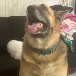 Jack nurse - @jacknurse3 - Instagram