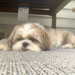 Jackson Nyman - @jackson_nyman - Instagram
