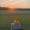 Jack O’Keefe - @jack.wit.a.hat - TikTok