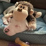 Jack O'Keefe - @jackokeefe42 - Instagram