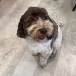 Jack Oliphant - @jackoliphant1273 - Instagram