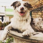 @jack_on_an_adventure_ - Instagram